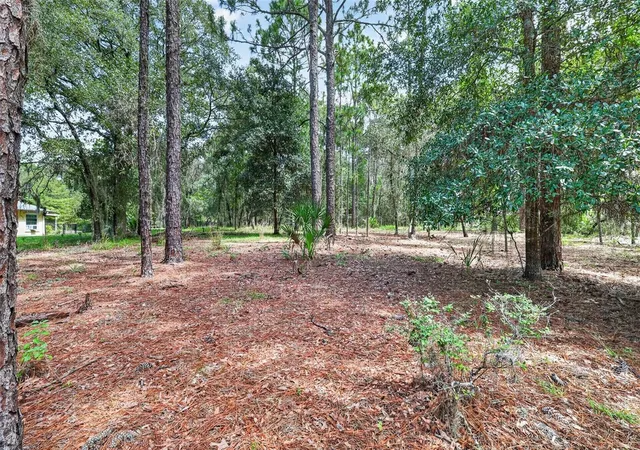 Photo 2 of Land for sale at 0 Sw 82 Street, Dunnellon, FL 34431 | MLS# OM730005 | Listing updated on 2026-08-09