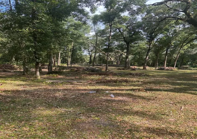 Photo 2 of Land for sale at Tbd Sw 111th Lane, Dunnellon, FL 34432 | MLS# O6431964 | Listing updated on 2026-08-09