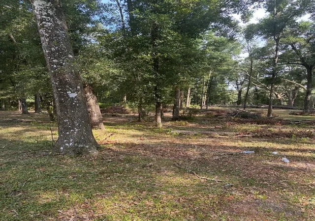 Photo 3 of Land for sale at Tbd Sw 111th Lane, Dunnellon, FL 34432 | MLS# O6431964 | Listing updated on 2026-08-09