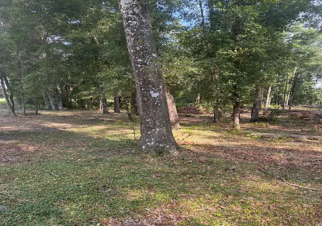 Photo 3 of Land for sale at Tbd SW 111th Lane, Dunnellon, FL 34432 | MLS# O6431964 | Listing updated on 2026-08-09