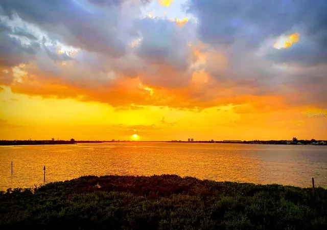 3rd image of 920 Tidewater Shores Loop, BRADENTON, FL 34208