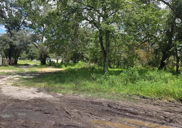 Photo 3 of Land for sale at 39249 Lizabeth Cir, Zephyrhills, FL 33542 | MLS# TB8537135 | Listing updated on 2026-08-11
