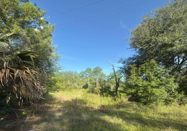 1st image of 19037 Parakeet Rd, Weeki Wachee, FL 34614 | MLS# OM730039