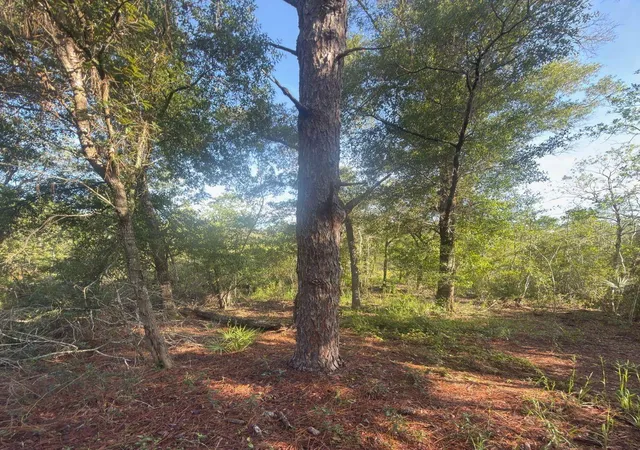 3rd image of 19037 Parakeet Rd, Weeki Wachee, FL 34614 | MLS# OM730039