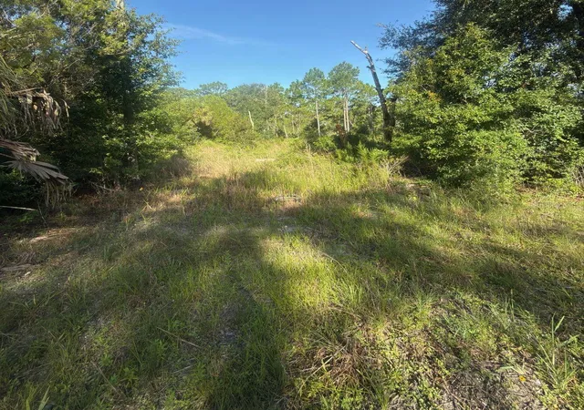 4th image of 19037 Parakeet Rd, Weeki Wachee, FL 34614 | MLS# OM730039