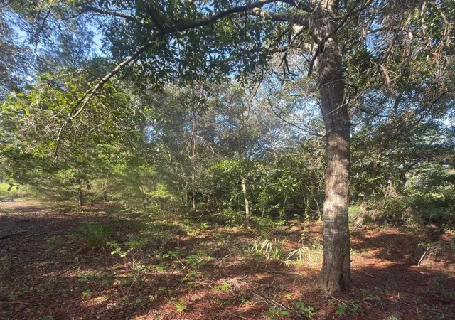5th image of 19037 Parakeet Rd, Weeki Wachee, FL 34614 | MLS# OM730039