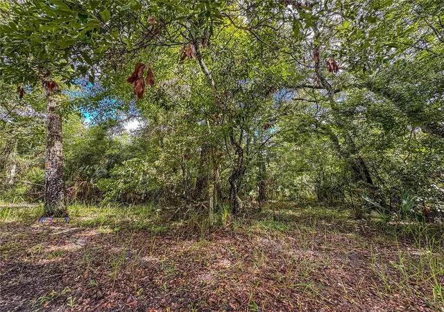 5th image of Old Hunter Rd, Brooksville, FL 34601 | MLS# W7888414