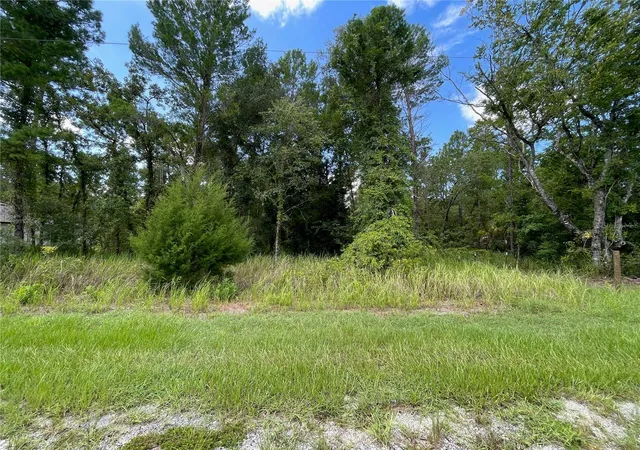 1st image of 0 Thrasher Ave, Weeki Wachee, FL 34614 | MLS# W7888415