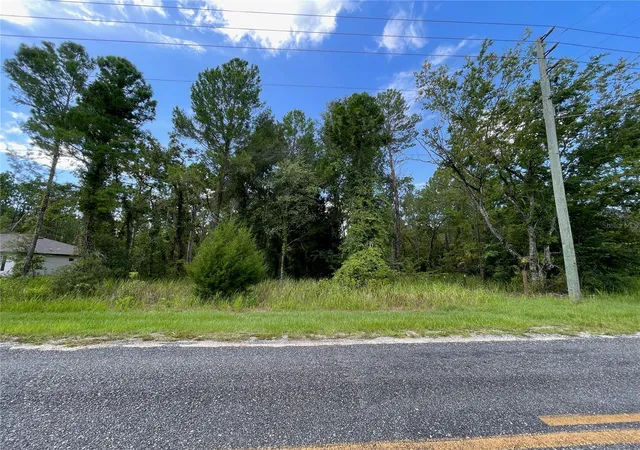 3rd image of 0 Thrasher Ave, Weeki Wachee, FL 34614 | MLS# W7888415
