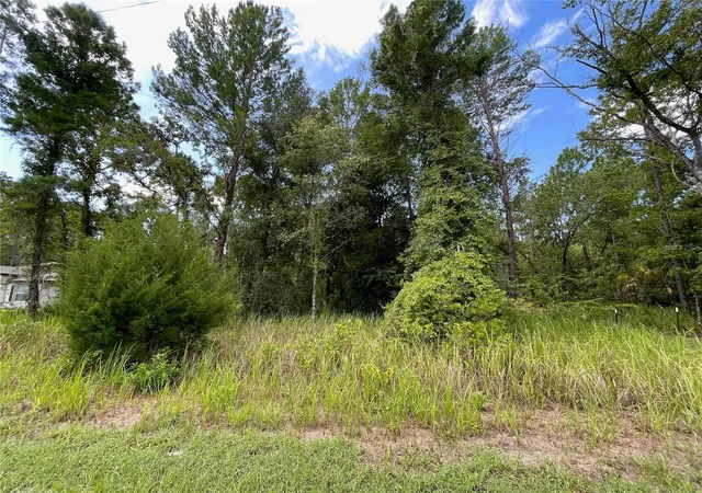 4th image of 0 Thrasher Ave, Weeki Wachee, FL 34614 | MLS# W7888415