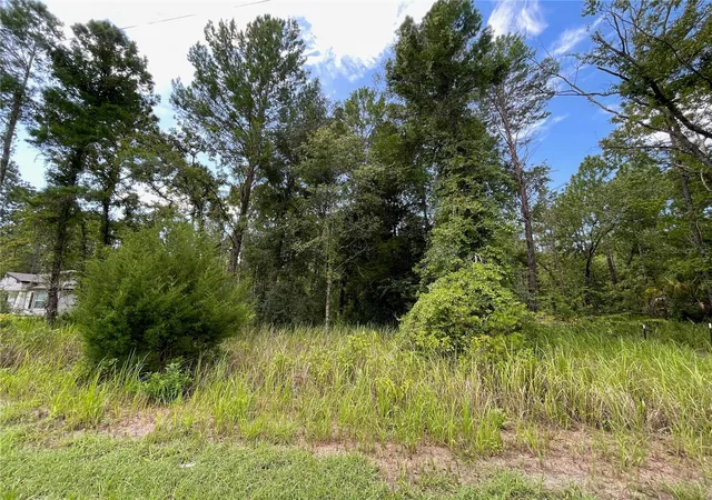 5th image of 0 Thrasher Ave, Weeki Wachee, FL 34614 | MLS# W7888415