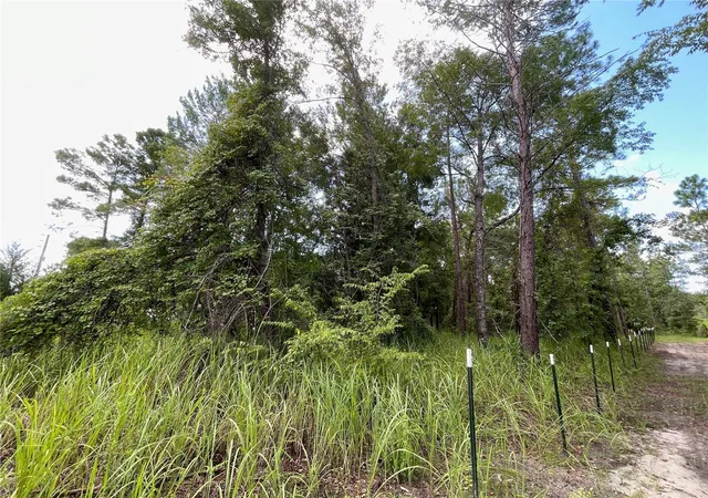 9th image of 0 Thrasher Ave, Weeki Wachee, FL 34614 | MLS# W7888415