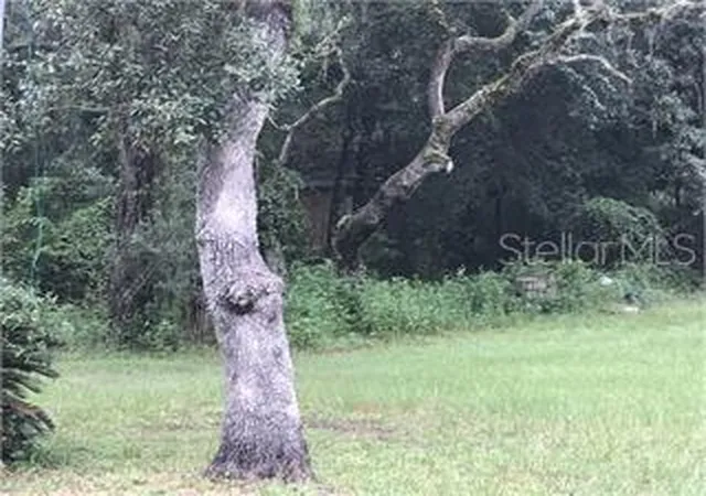 Photo 1 of Land for sale at Southwest 49th Ct, Webster, FL 33597 | MLS# G5116267 | Listing updated on 2026-09-20