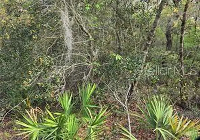 Land for sale at Cr 245d, OXFORD, FL 34484 | MLS# G5116268