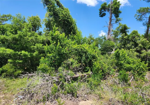 Photo 1 of Land for sale at 6241 Mariner Blvd #31, Spring Hill, FL 34609 | MLS# W7888419 | Listing updated on 2026-08-15