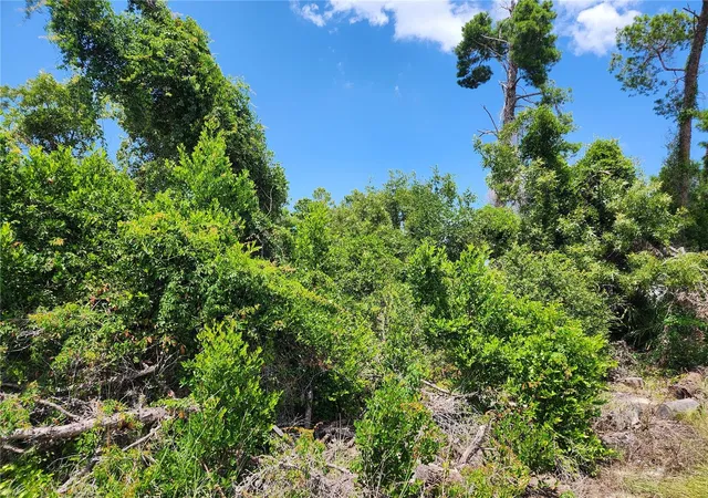 Photo 2 of Land for sale at 6241 Mariner Blvd #31, Spring Hill, FL 34609 | MLS# W7888419 | Listing updated on 2026-08-15