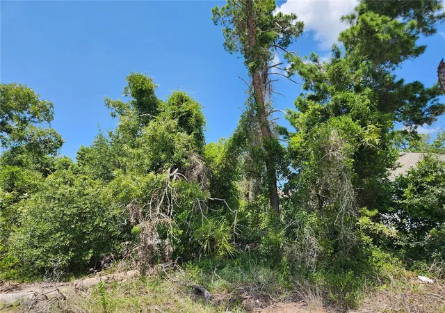 Photo 3 of Land for sale at 6241 Mariner Blvd #31, Spring Hill, FL 34609 | MLS# W7888419 | Listing updated on 2026-08-15
