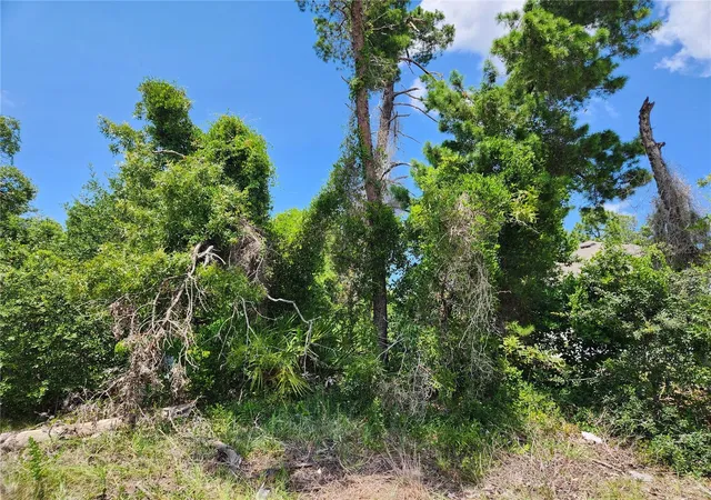 Photo 4 of Land for sale at 6241 Mariner Blvd #31, Spring Hill, FL 34609 | MLS# W7888419 | Listing updated on 2026-08-15