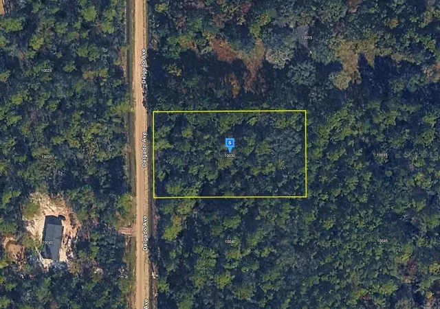 Photo 1 of Land for sale at 10030 Delgado Ave, Hastings, FL 32145 | MLS# A4702535 | Listing updated on 2026-09-16