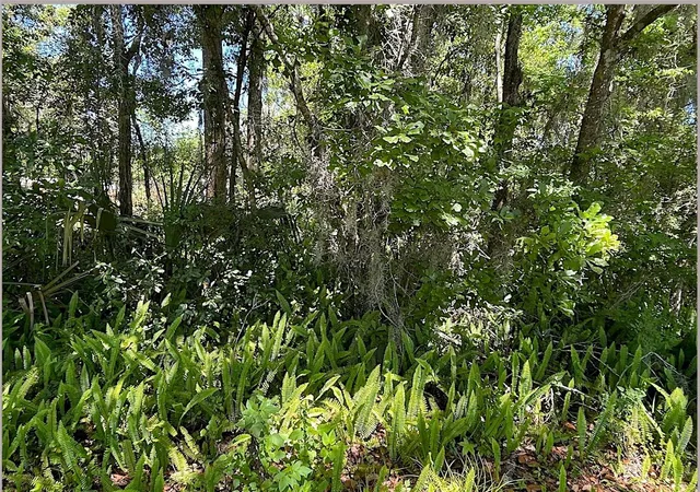 1st image of Union St, Brooksville, FL 34601 | MLS# TB8537366
