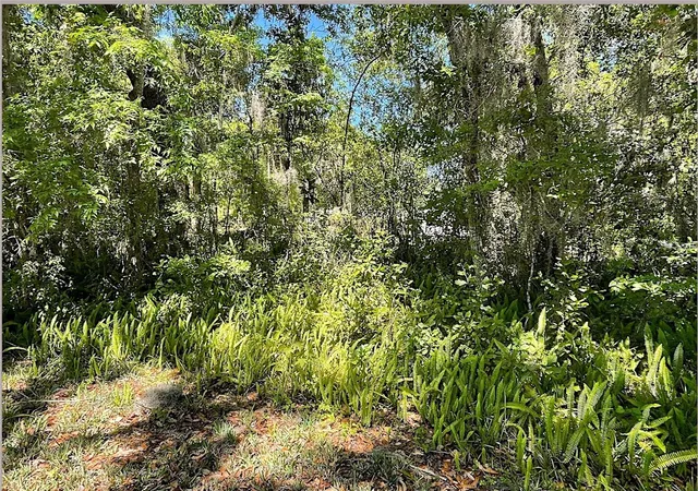 2nd image of Union St, Brooksville, FL 34601 | MLS# TB8537366