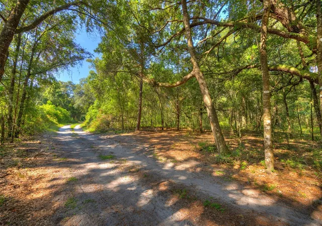 51st image of 2142 Saragossa Ave, Deland, FL 32724 | MLS# V4950640