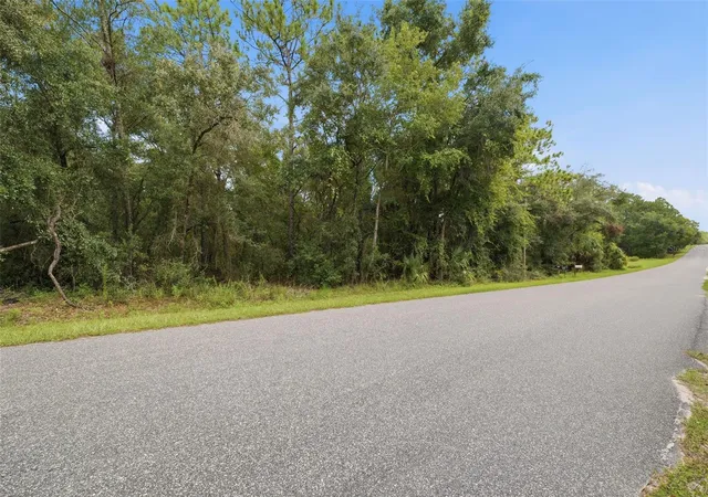 Photo 1 of Land for sale at 1295 E Ray St, Hernando, FL 34442 | MLS# TB8537392 | Listing updated on 2026-10-06