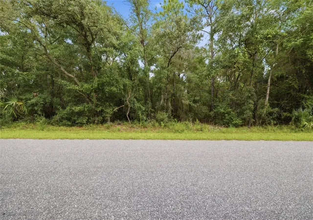 Photo 3 of Land for sale at 1295 E Ray St, Hernando, FL 34442 | MLS# TB8537392 | Listing updated on 2026-10-06