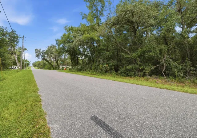Photo 3 of Land for sale at 1295 E Ray St, Hernando, FL 34442 | MLS# TB8537392 | Listing updated on 2026-10-06