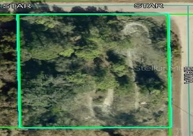 12th image of Star Rd, Brooksville, FL 34613 | MLS# TB8537404
