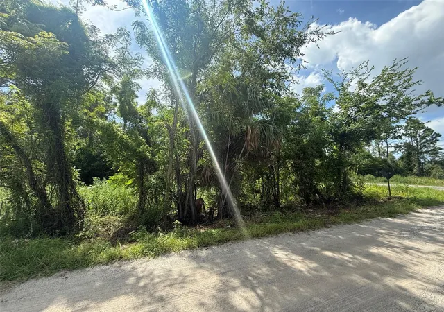 Photo 4 of Land for sale at Star Rd, Brooksville, FL 34613 | MLS# TB8537404 | Listing updated on 2026-10-12