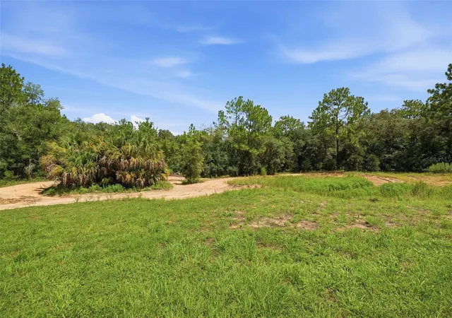 Photo 4 of Land for sale at 1345 E Ray St, Hernando, FL 34442 | MLS# TB8537411 | Listing updated on 2026-08-11