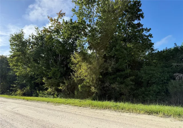 13th image of 700 Shady Hollow Blvd W, Naples, FL 34120 | MLS# O6432225