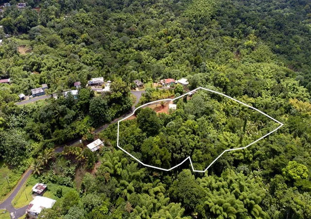 Photo 12 of Sale Pending at 339 St Bo Montoso #145, Mayaguez, PR 00680 | MLS# PR9123302 | Listing updated on 2026-09-02