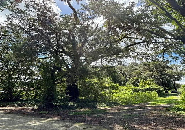 Photo 2 of Land for sale at Lot Sw 28 109 Lane, Dunnellon, FL 34432 | MLS# OM730073 | Listing updated on 2026-08-11