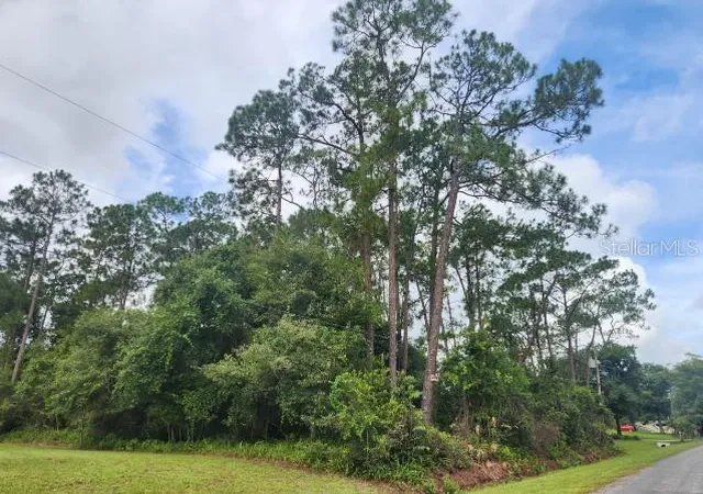 1st image of 14634 Henson Rd, Orlando, FL 32832 | MLS# O6432276