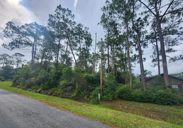 2nd image of 14634 Henson Rd, Orlando, FL 32832 | MLS# O6432276