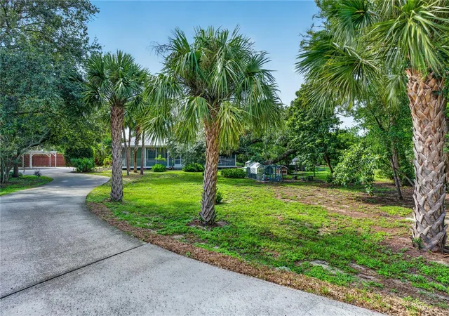 5th image of 207 N Levis Ave, Tarpon Springs, FL 34689 | MLS# TB8537499
