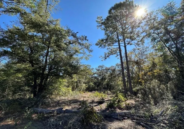 Photo 1 of Land for sale at Tbd Ne 86th Street, Bronson, FL 32621 | MLS# OM730094 | Listing updated on 2026-08-12