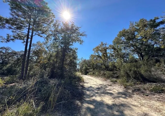 Photo 3 of Land for sale at Tbd NE 86th Street, Bronson, FL 32621 | MLS# OM730094 | Listing updated on 2026-08-12