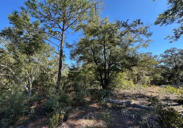 Photo 4 of Land for sale at Tbd NE 86th Street, Bronson, FL 32621 | MLS# OM730094 | Listing updated on 2026-08-12