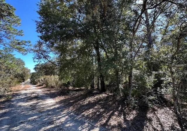 Photo 5 of Land for sale at Tbd NE 86th Street, Bronson, FL 32621 | MLS# OM730094 | Listing updated on 2026-08-12