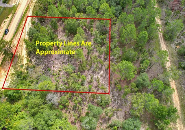 Photo 3 of Land for sale at 515 Interlachen Blvd, Interlachen, FL 32148 | MLS# O6432347 | Listing updated on 2026-08-11