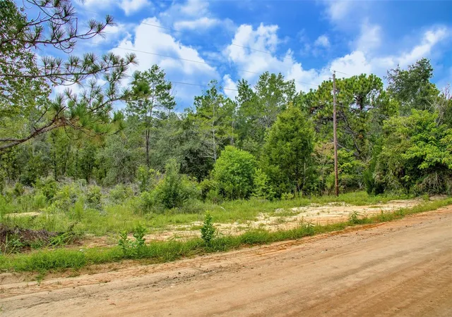Photo 3 of Land for sale at 515 Interlachen Blvd, Interlachen, FL 32148 | MLS# O6432347 | Listing updated on 2026-08-11