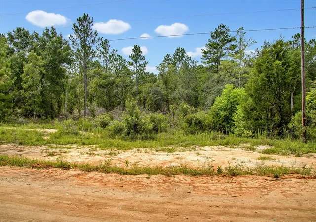 Photo 4 of Land for sale at 515 Interlachen Blvd, Interlachen, FL 32148 | MLS# O6432347 | Listing updated on 2026-08-11