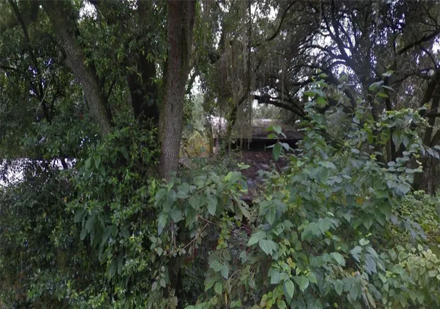 Land for sale at 7802 N 12th Street, TAMPA, FL 33604 | MLS# O6432362
