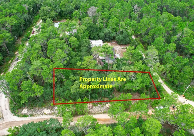 Photo 3 of Land for sale at 206 Utah St, Satsuma, FL 32189 | MLS# O6432364 | Listing updated on 2026-08-11