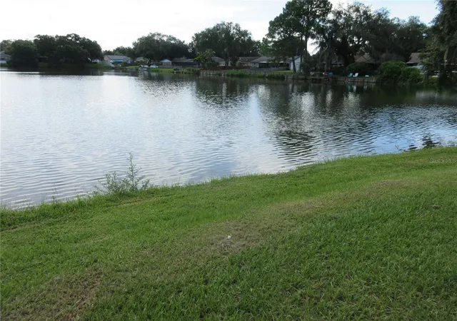 34th image of 1309 Windjammer Pl, Valrico, FL 33594 | MLS# L4964179