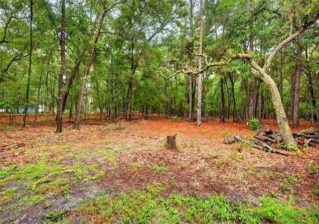 47th image of 7550 Sw 185th Cir, Dunnellon, FL 34432 | MLS# O6432428