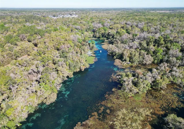 91st image of 19535 Sw 77th Loop, Dunnellon, FL 34432 | MLS# OM730110